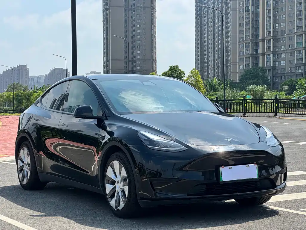Tesla Model Y — фото 3