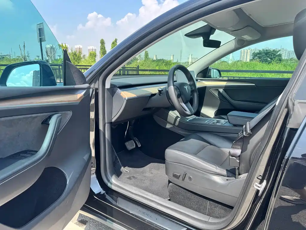Tesla Model Y — фото 6