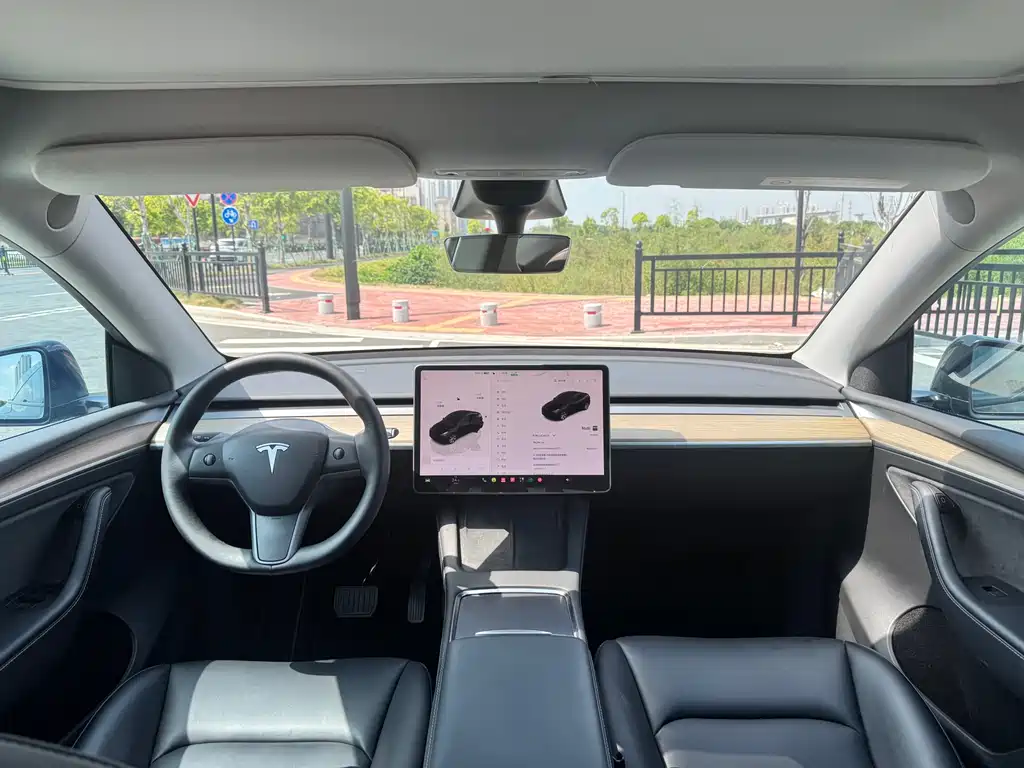 Tesla Model Y — фото 9