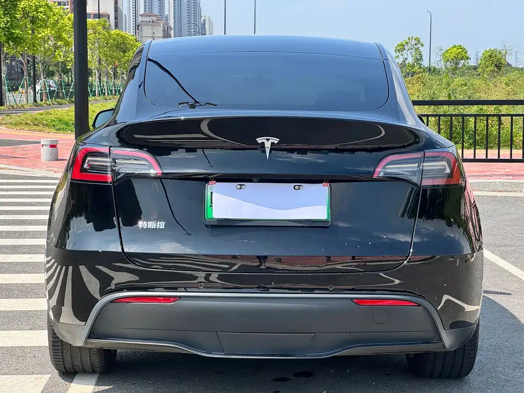 Tesla Model Y — фото 10