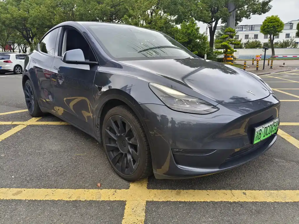 Tesla Model Y — фото 3