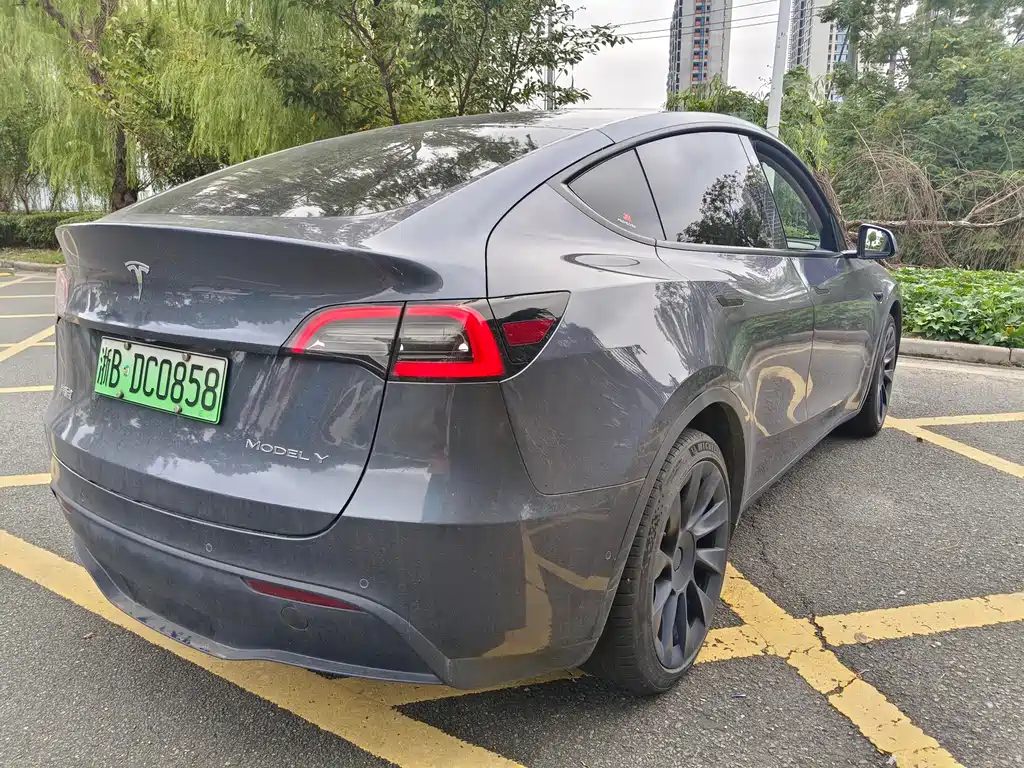 Tesla Model Y — фото 4