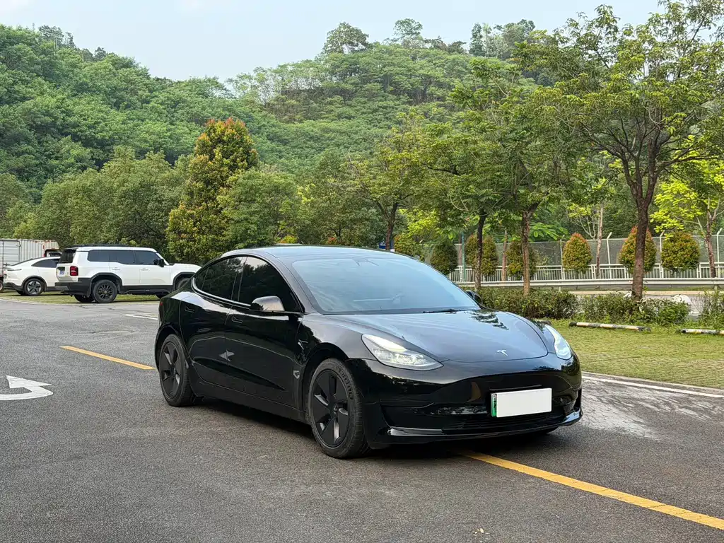 Tesla Model 3 — фото 3