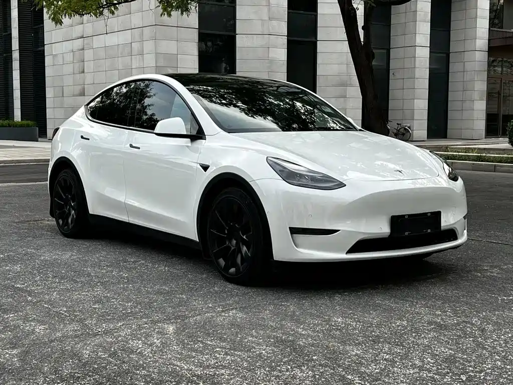 Tesla Model Y — фото 3