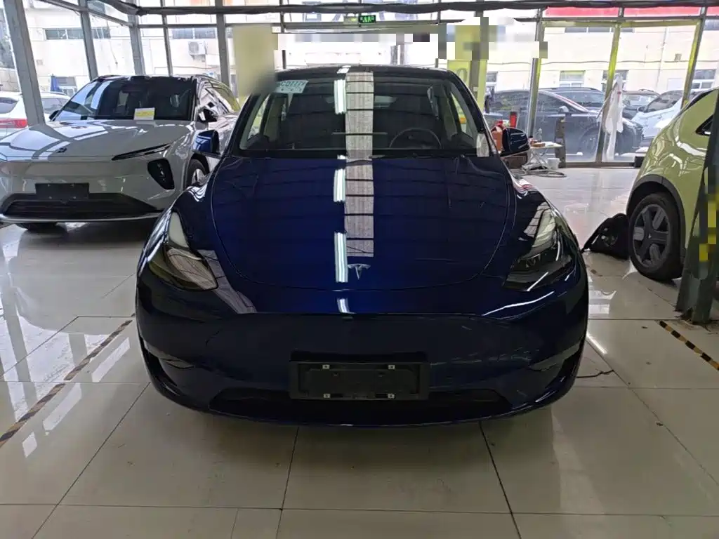 Tesla Model Y — фото 3