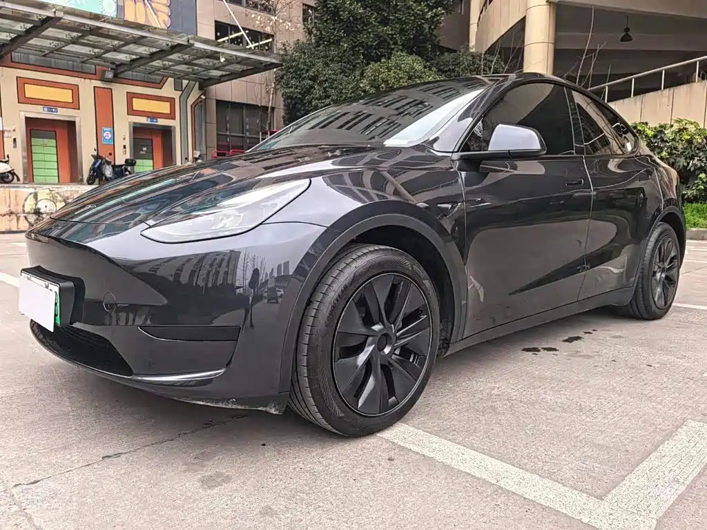 Tesla Model Y — фото 4
