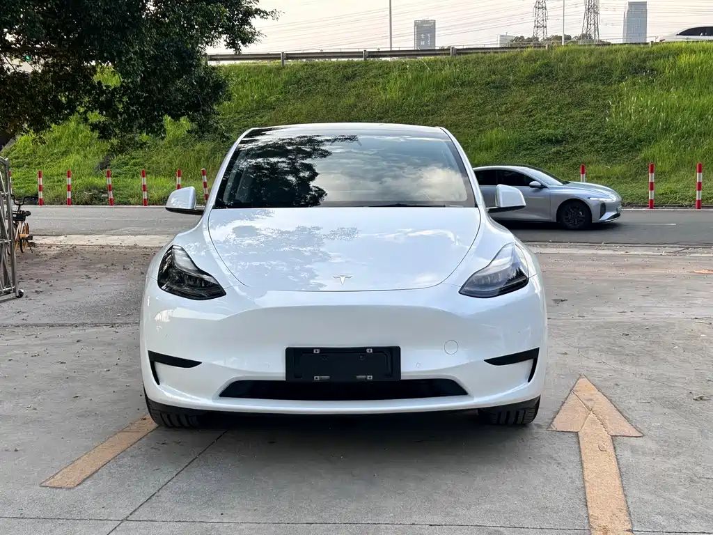Tesla Model Y — фото 3
