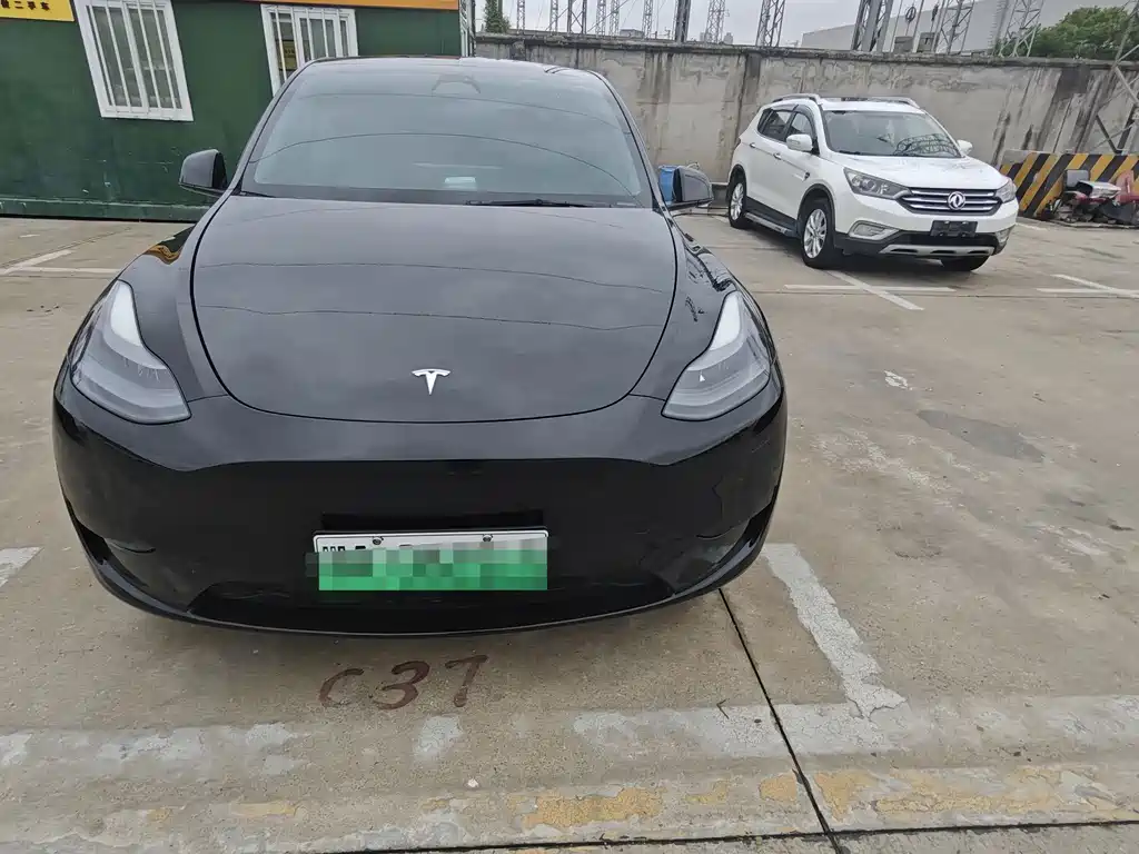 Tesla Model Y — фото 2