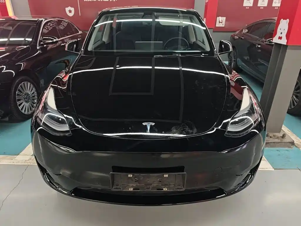 Tesla Model Y — фото 3