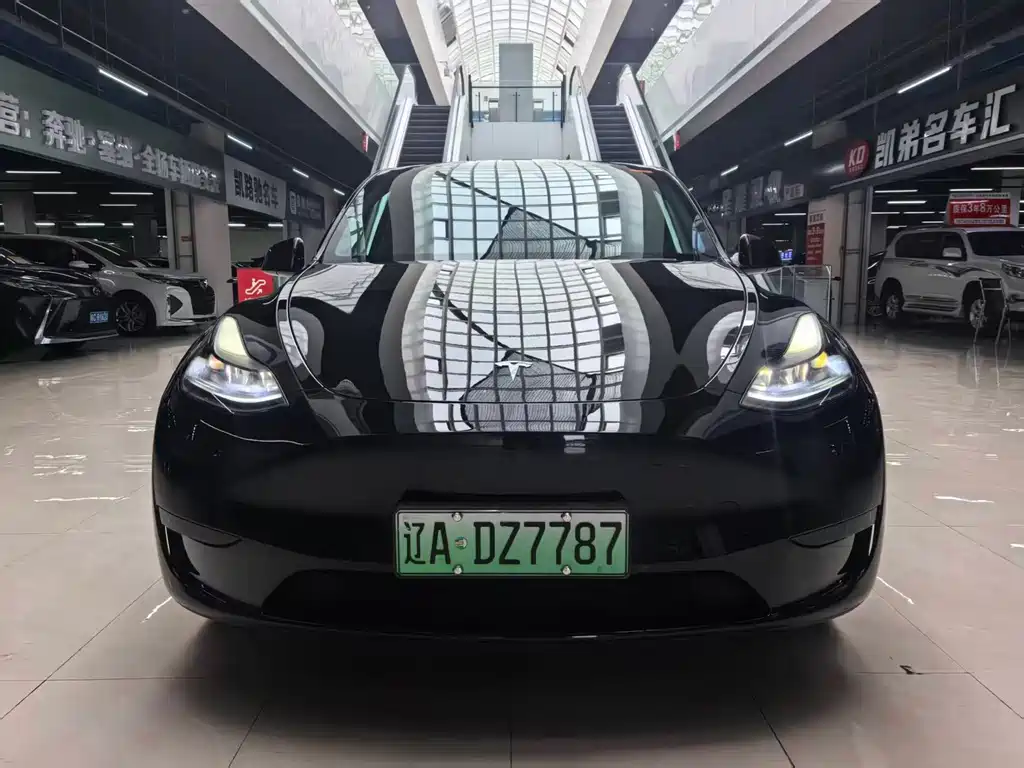 Tesla Model Y — фото 2