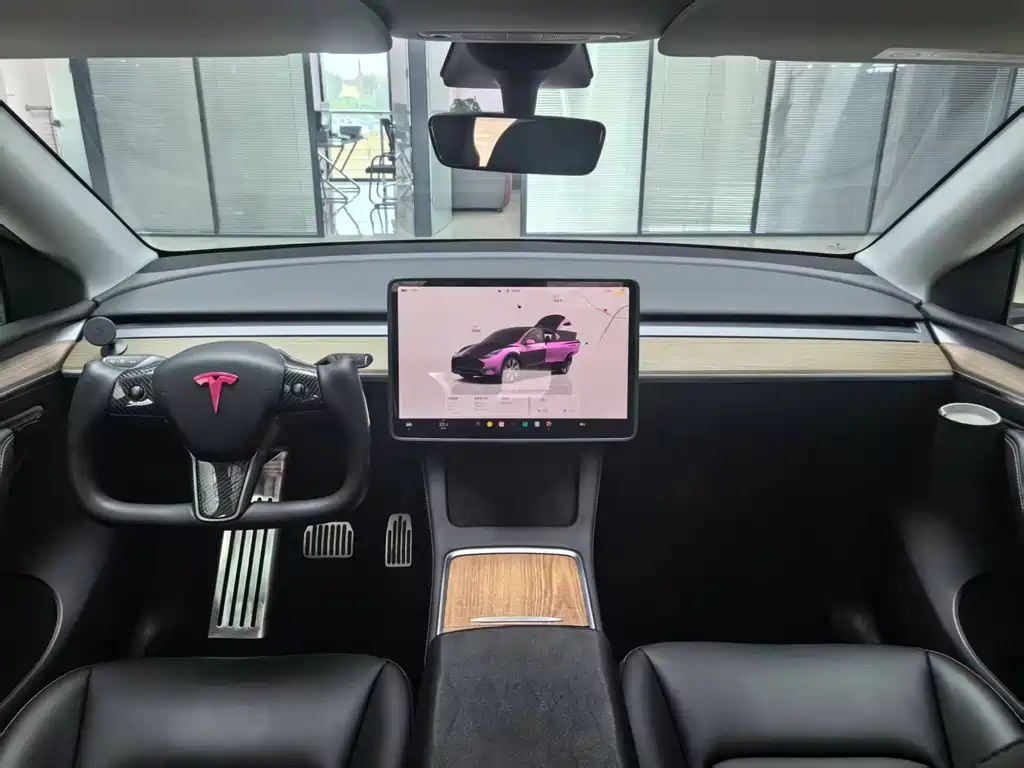 Tesla Model Y — фото 19