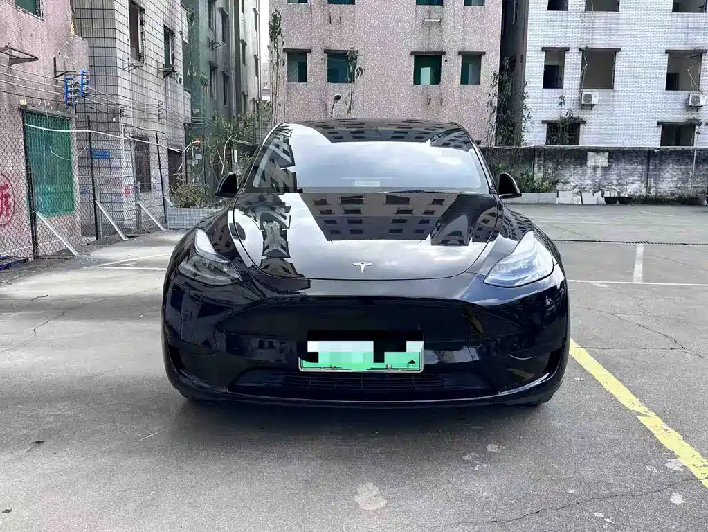 Tesla Model Y — фото 3