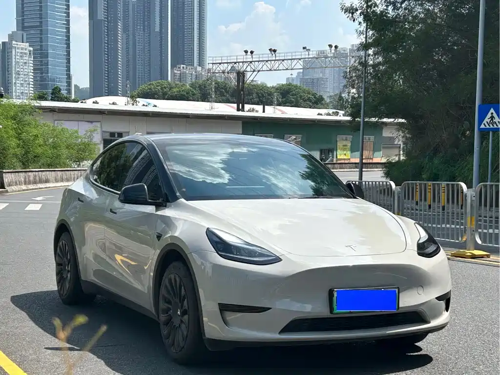 Tesla Model Y — фото 3