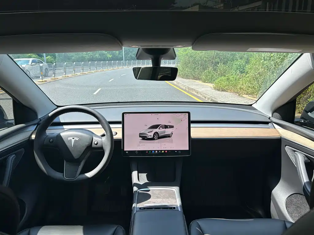 Tesla Model Y — фото 5
