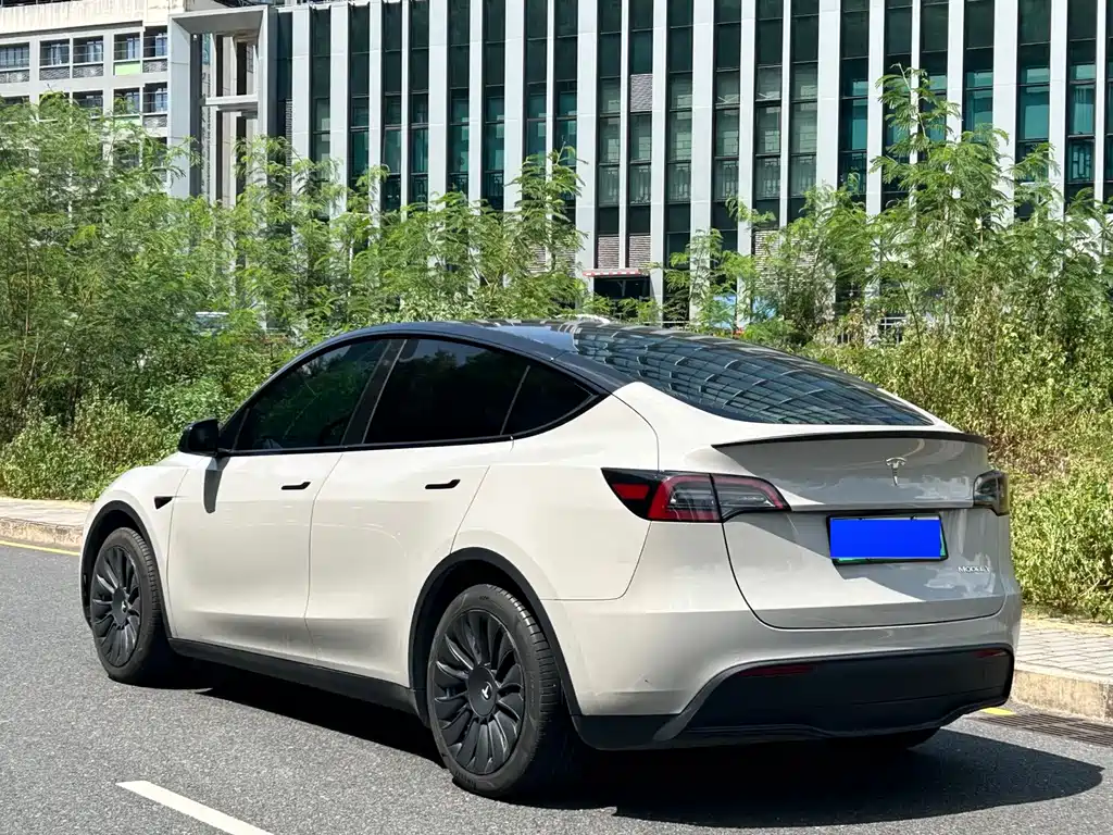 Tesla Model Y — фото 9