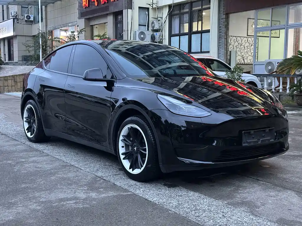 Tesla Model Y — фото 3