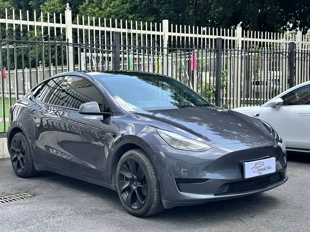 Tesla Model Y — фото 2