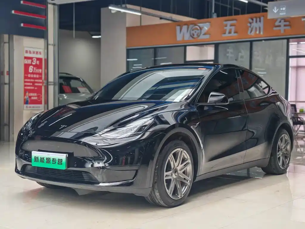 Tesla Model Y — фото 3