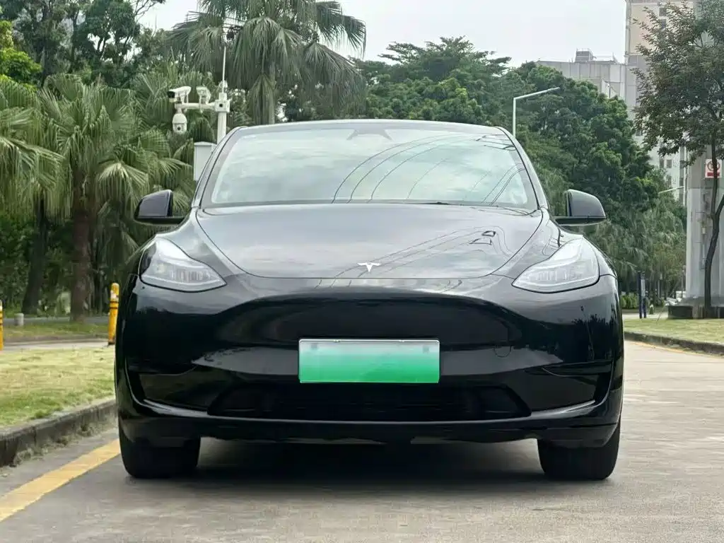 Tesla Model Y — фото 3