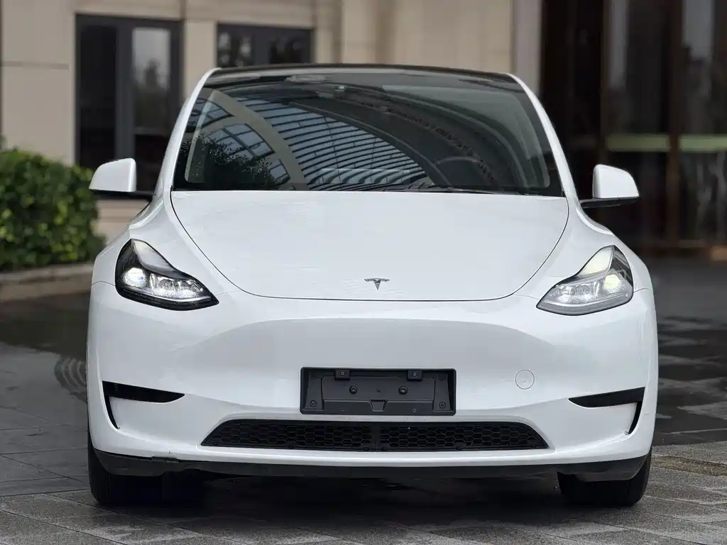 Tesla Model Y — фото 2
