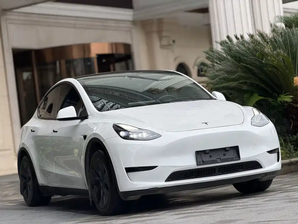 Tesla Model Y — фото 3