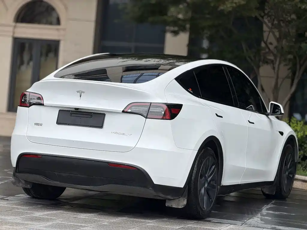 Tesla Model Y — фото 8