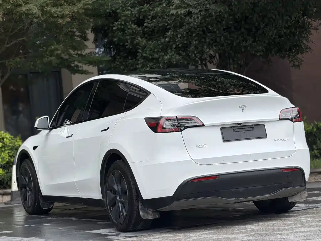 Tesla Model Y — фото 10