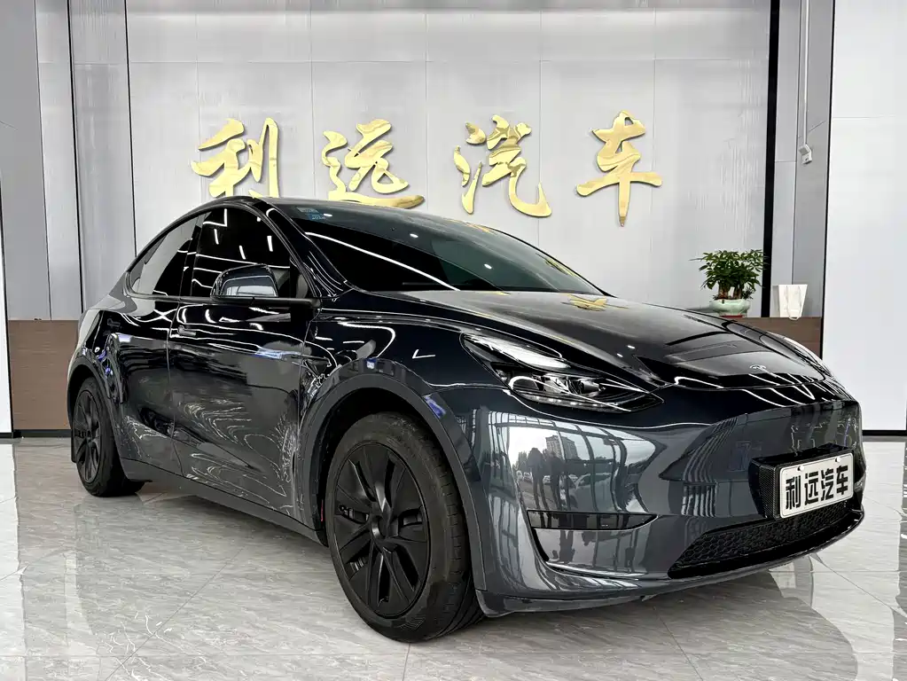 Tesla Model Y — фото 3