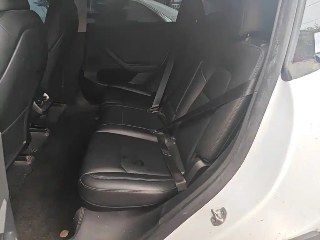 Tesla Model Y — фото 13