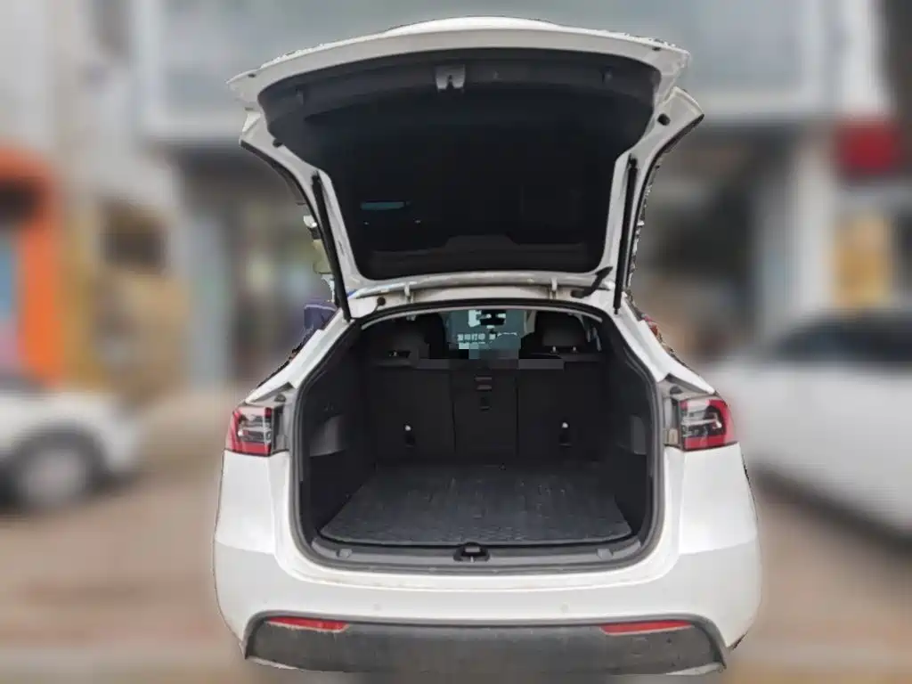Tesla Model Y — фото 15