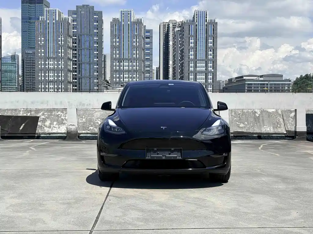 Tesla Model Y — фото 2