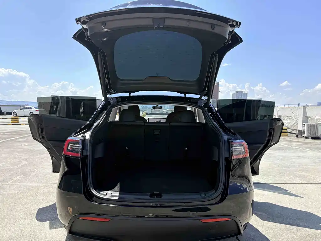 Tesla Model Y — фото 14