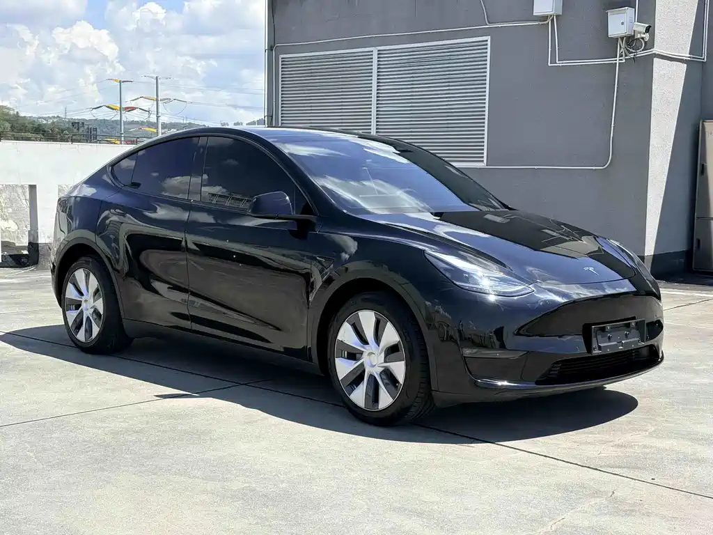 Tesla Model Y — фото 3