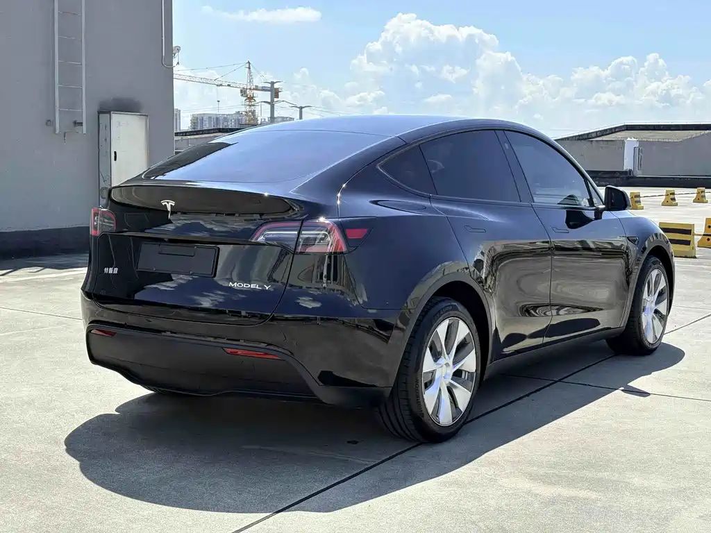 Tesla Model Y — фото 5