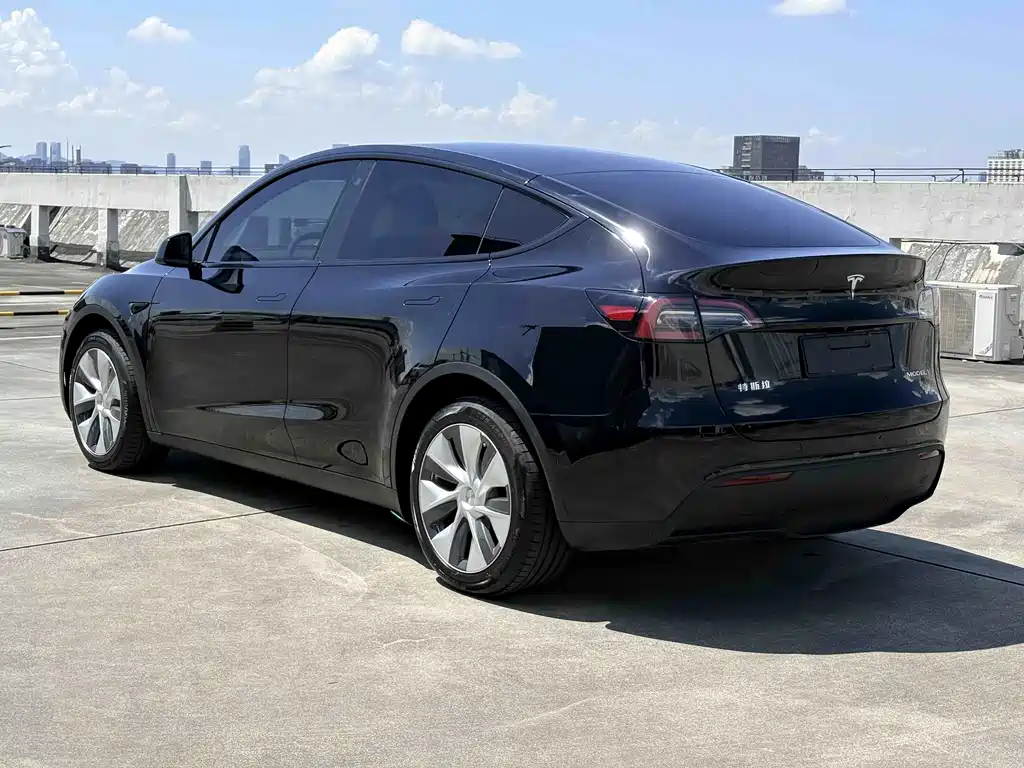Tesla Model Y — фото 6