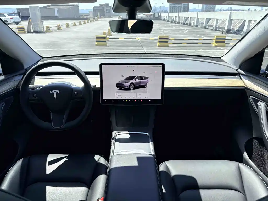 Tesla Model Y — фото 7