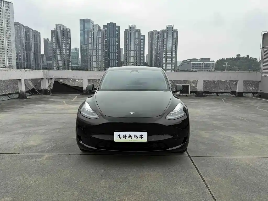 Tesla Model Y — фото 2