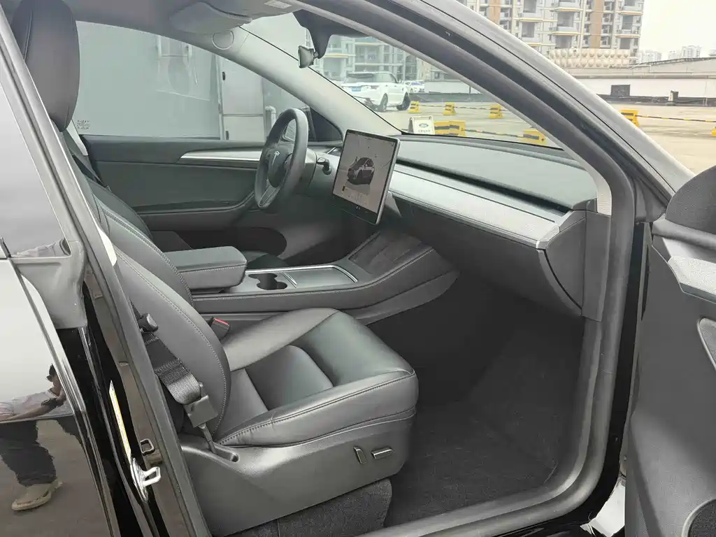 Tesla Model Y — фото 14
