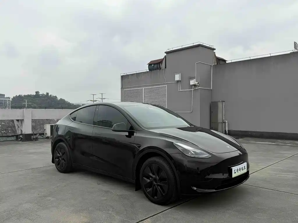 Tesla Model Y — фото 3