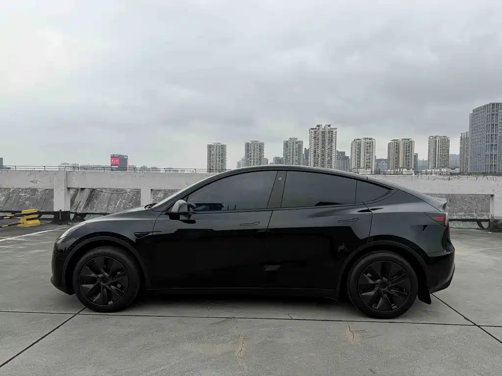 Tesla Model Y — фото 6