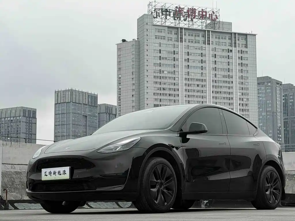 Tesla Model Y — фото 1