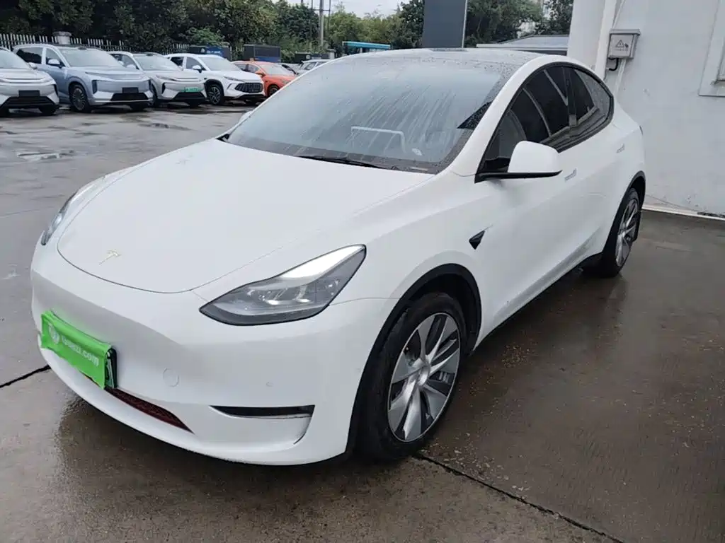 Tesla Model Y — фото 2