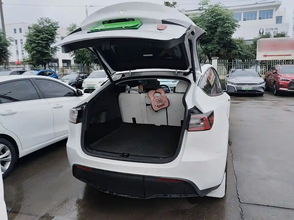 Tesla Model Y — фото 19