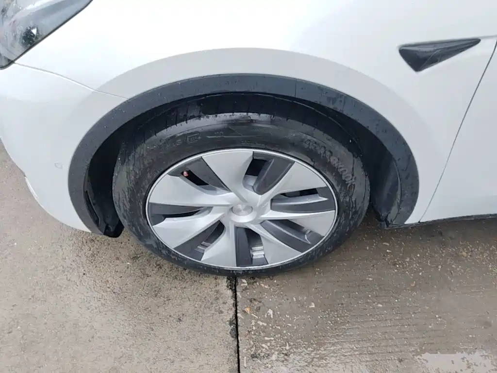 Tesla Model Y — фото 23