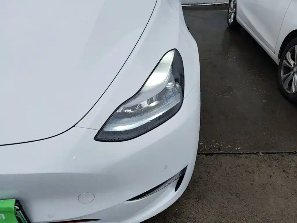 Tesla Model Y — фото 24