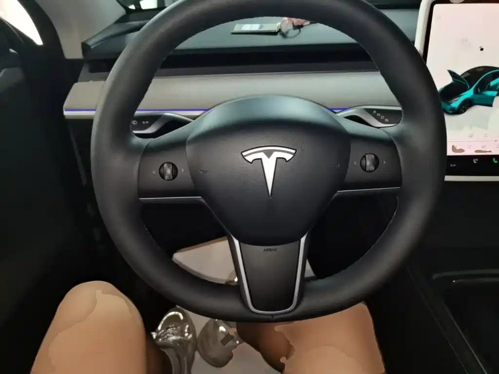 Tesla Model Y — фото 11