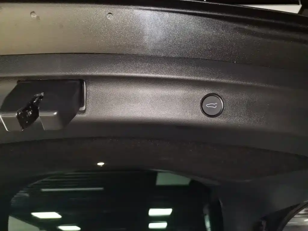 Tesla Model Y — фото 19