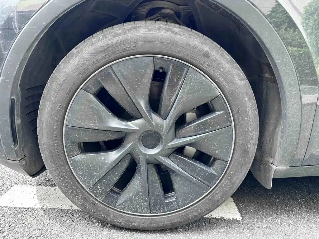 Tesla Model Y — фото 19
