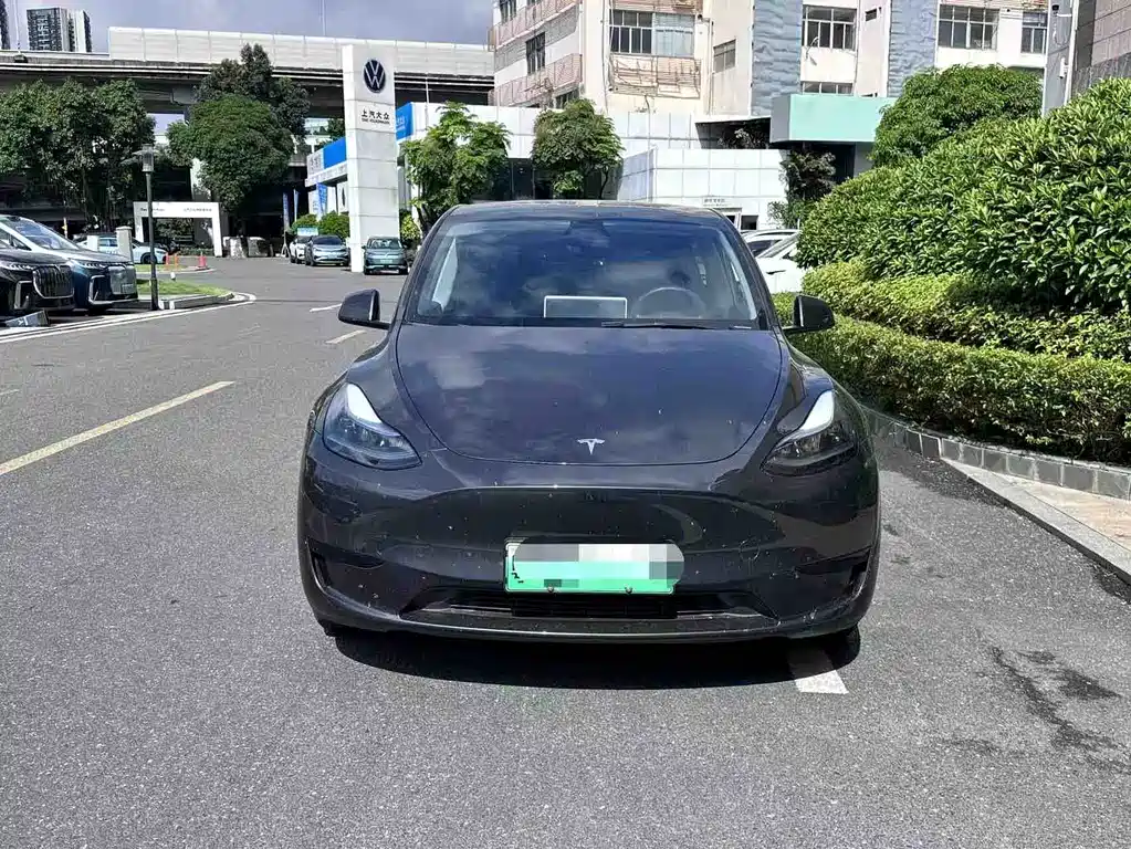 Tesla Model Y — фото 3