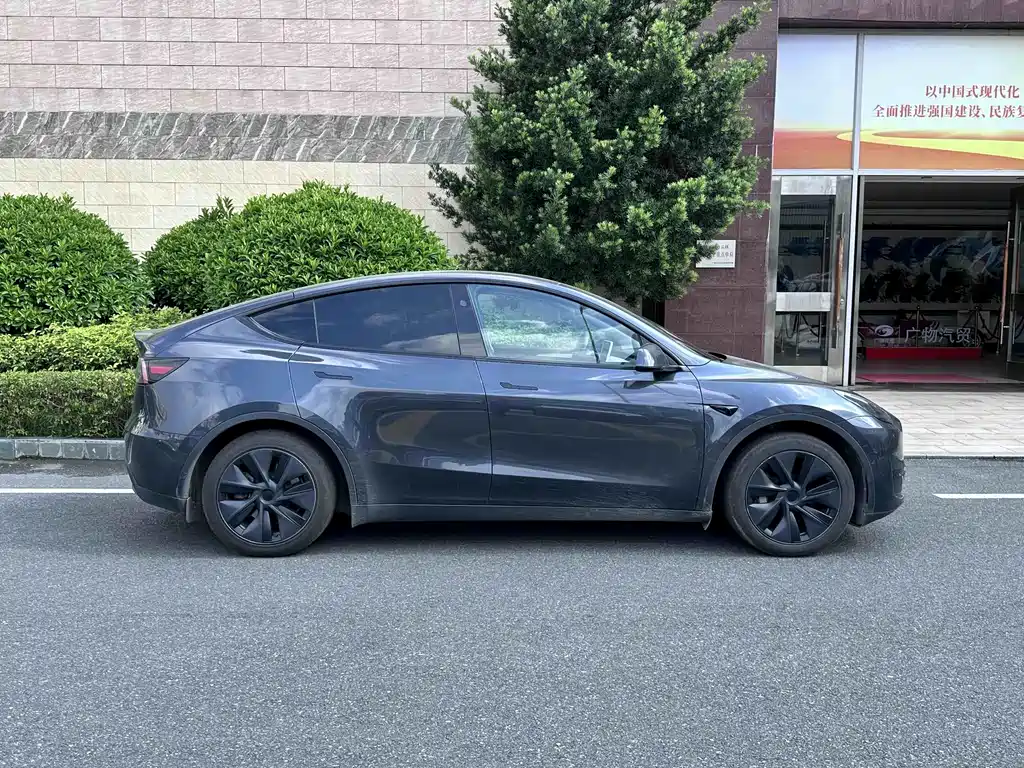 Tesla Model Y — фото 4